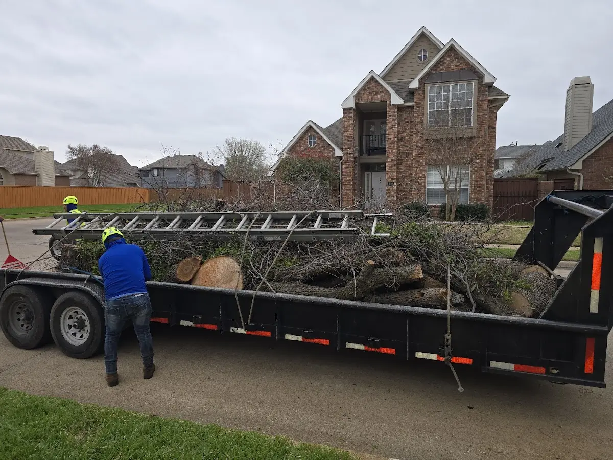 Expert Tree Removal with proper safety equipment in Johnston